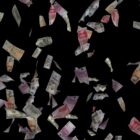 Falling banknotes money video