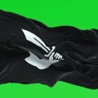 Jolly roger flag