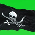 Jolly Roger flag video